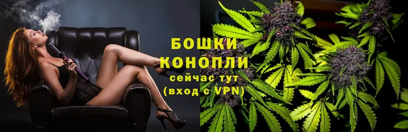 где продают   Электрогорск  даркнет Telegram  Бошки марихуана OG Kush 